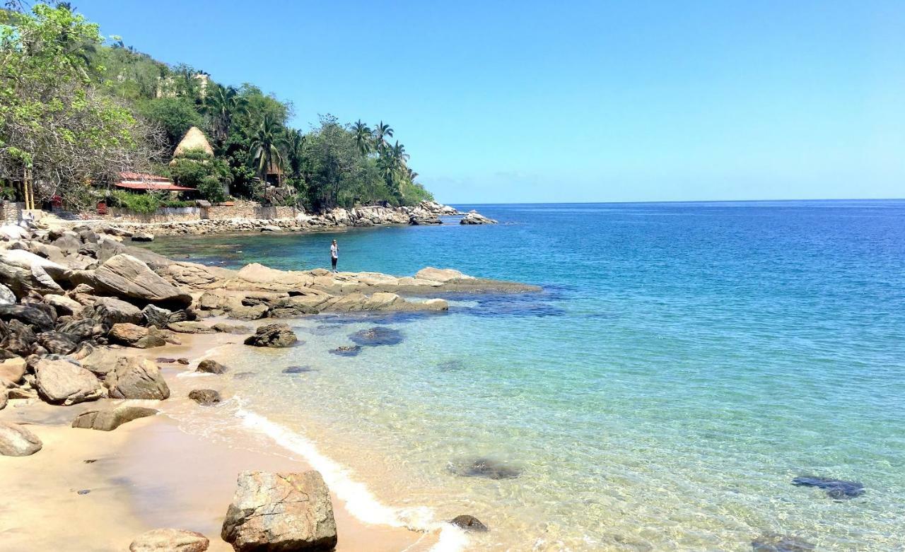 فندق يلابافي  Pura Vida Wellness Retreat المظهر الخارجي الصورة