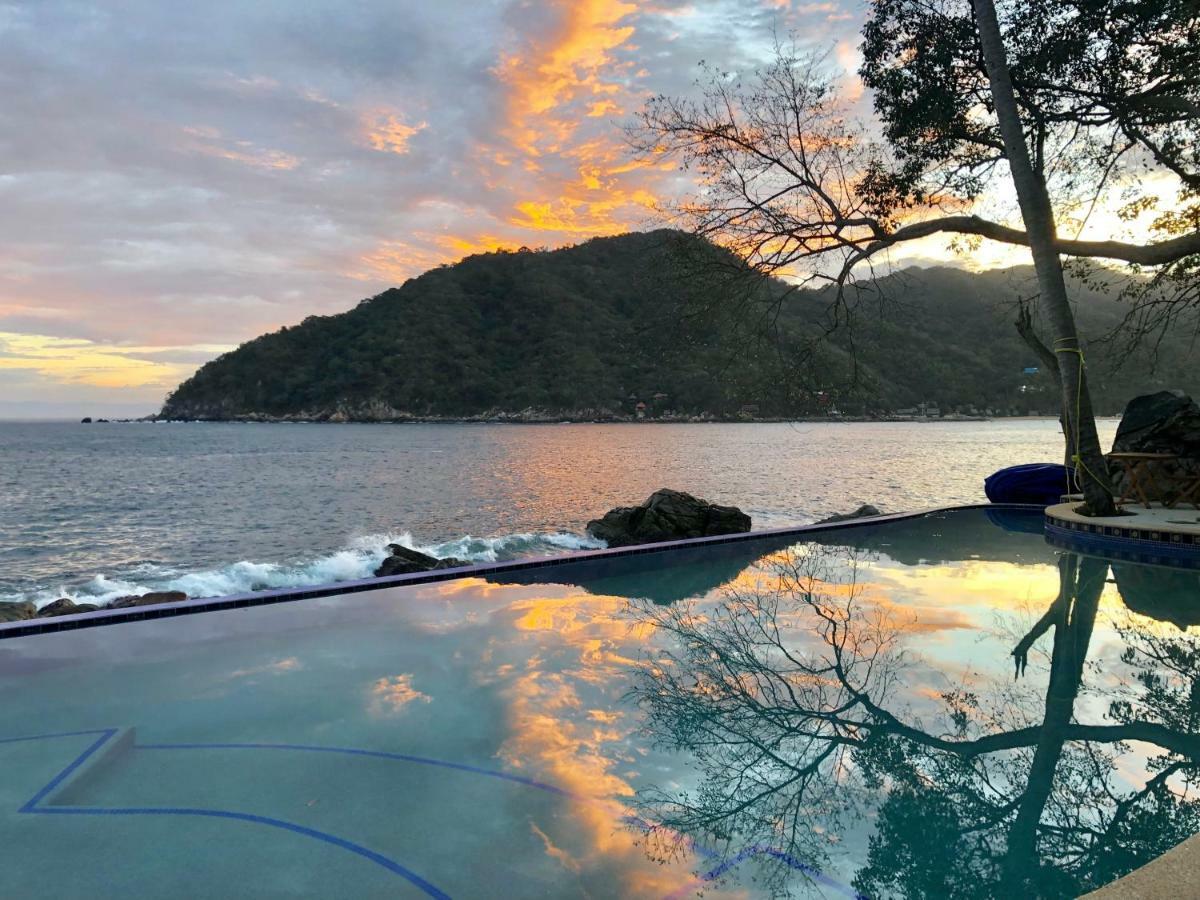فندق يلابافي  Pura Vida Wellness Retreat المظهر الخارجي الصورة