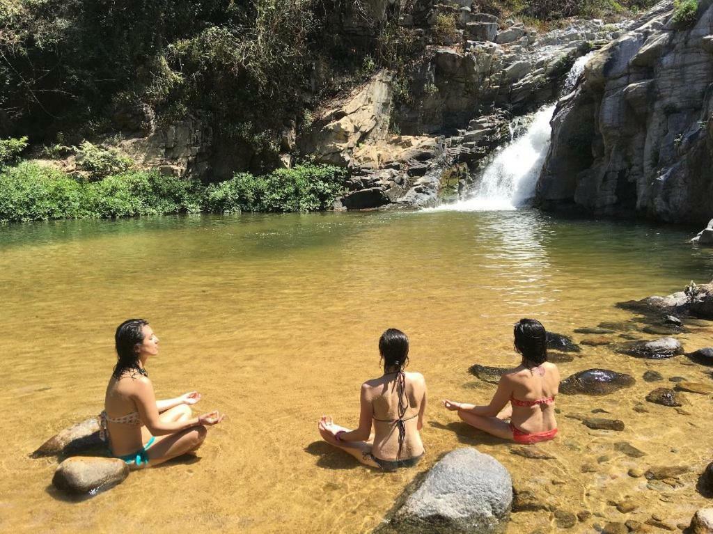 فندق يلابافي  Pura Vida Wellness Retreat المظهر الخارجي الصورة